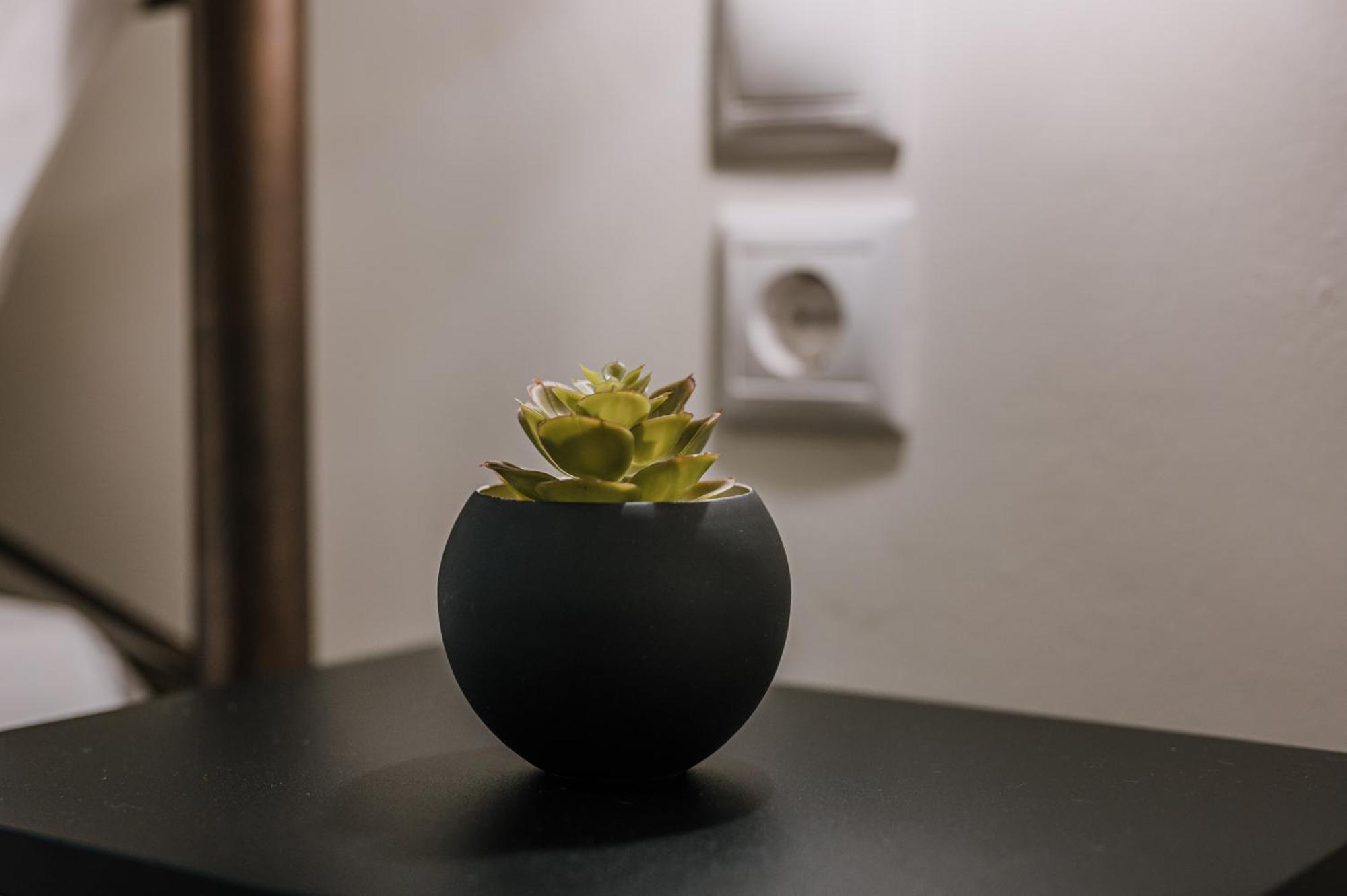 Hb Modern Apartments تولو الغرفة الصورة